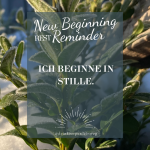 Schnee auf Zweigen. Sunday Rest Reminder Beitragsbild Ich beginne das Jahr in Stille