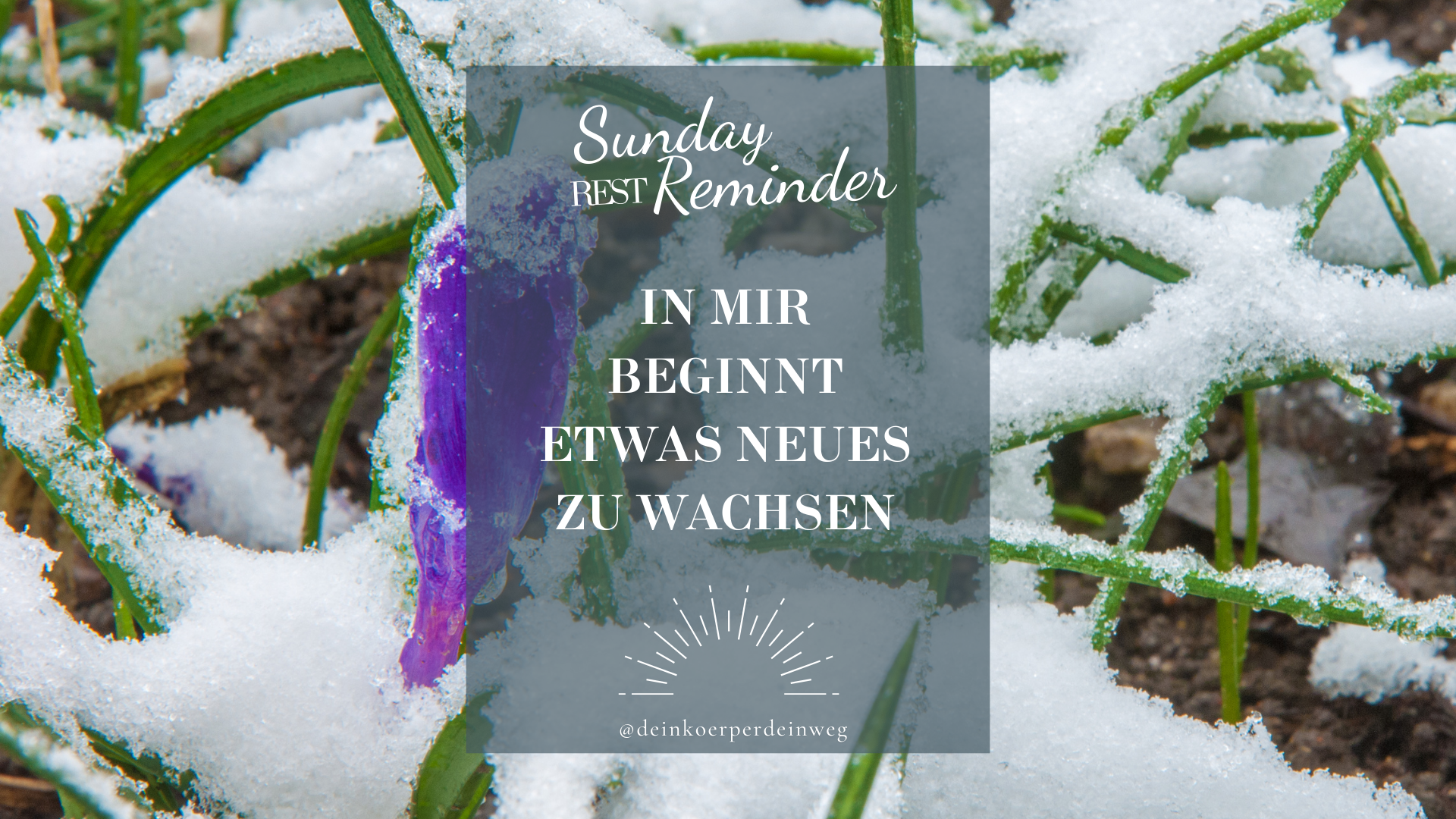 In mir beginnt etwas Neues zu wachsen | Sunday Rest Reminder