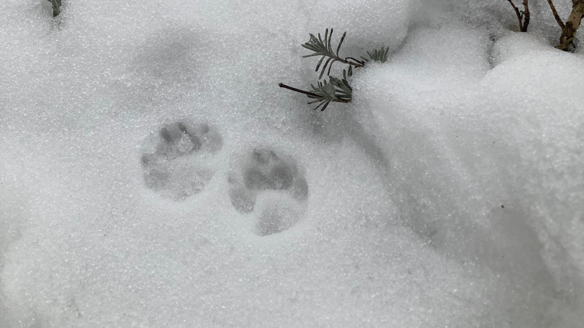 #8sammeln am 8.Februar 26